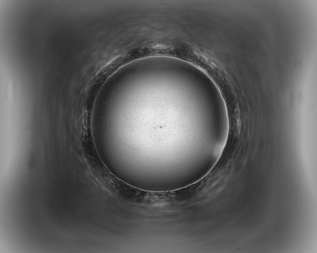X0000087581301200704271258