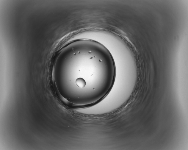 X0000087581304200704271258