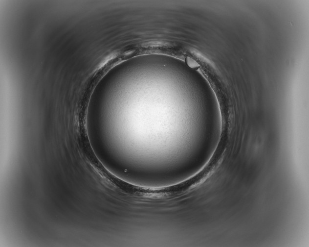 X0000087581305200704271258