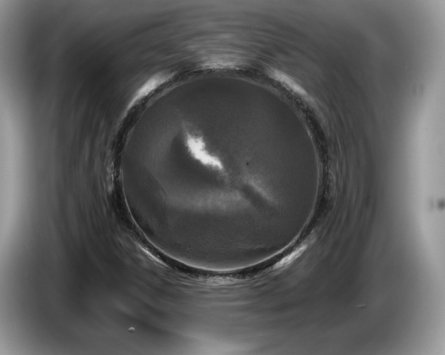 X0000087581306200704271258