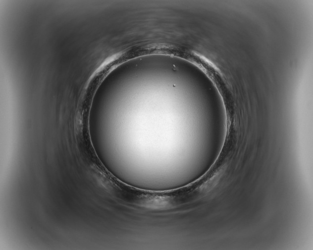 X0000087581309200704271258