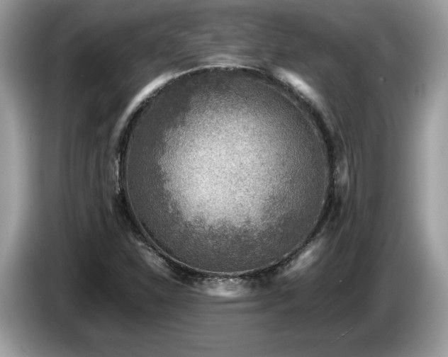 X0000087581310200704271258