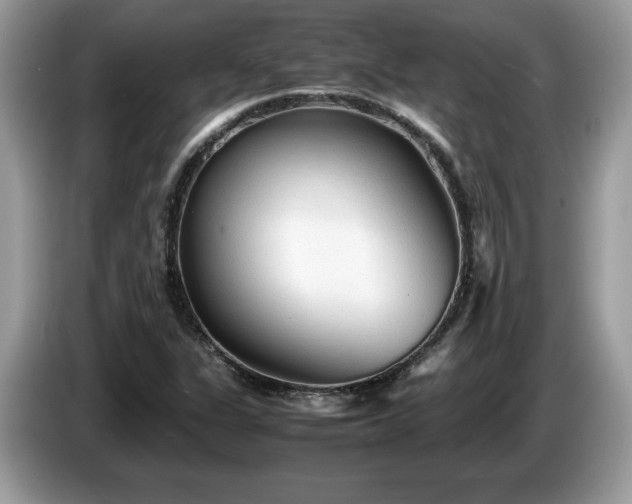X0000087581311200704271258