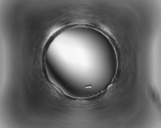X0000087581312200704271258