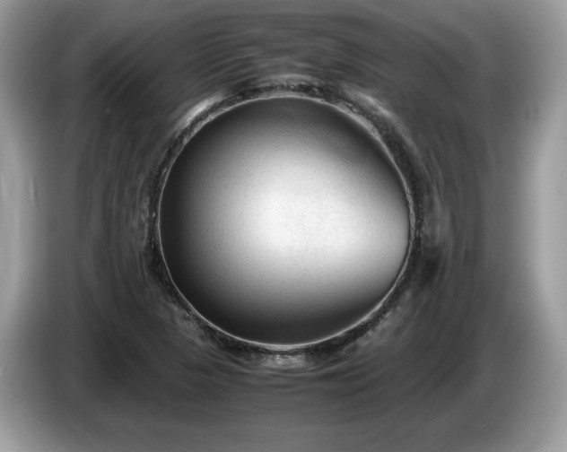 X0000087581313200704271258