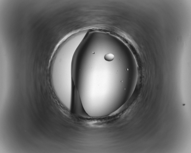 X0000087581316200704271258