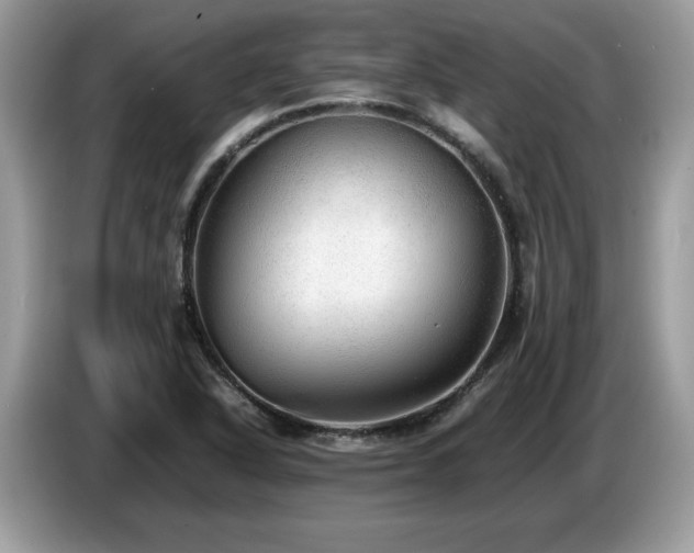 X0000087581318200704271258
