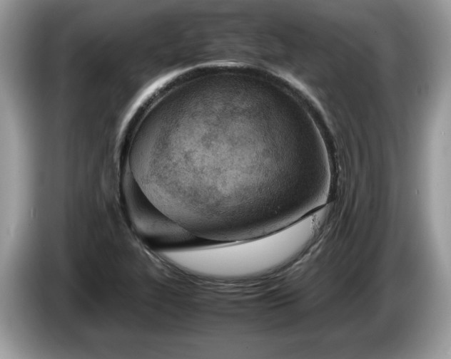 X0000087581319200704271258