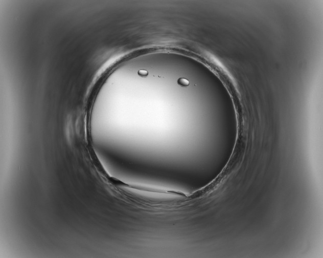 X0000087581320200704271258
