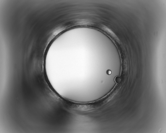 X0000087581322200704271258