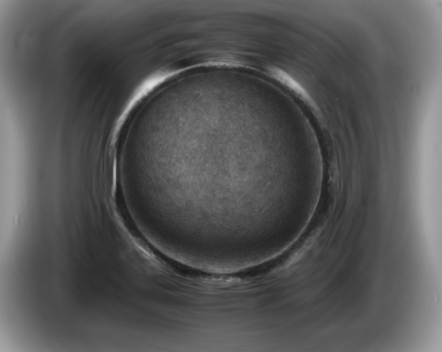 X0000087581323200704271258