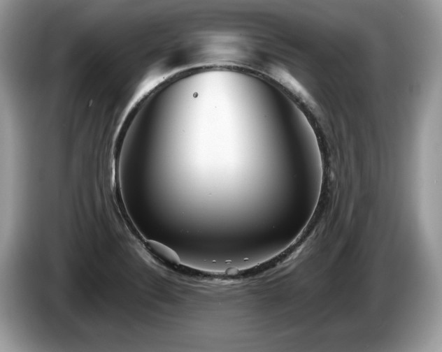 X0000087581324200704271258