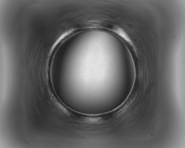 X0000087581325200704271258