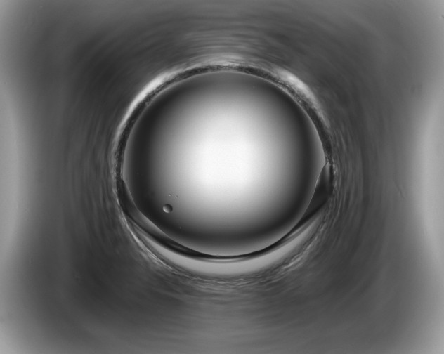 X0000087581326200704271258