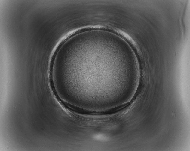 X0000087581327200704271258