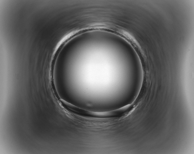 X0000087581328200704271258