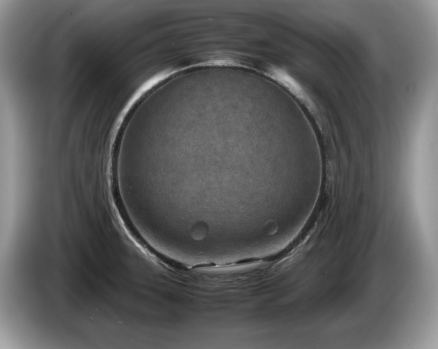 X0000087581331200704271258