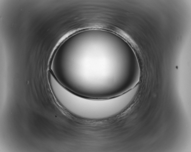 X0000087581332200704271258