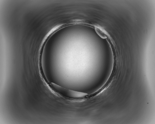 X0000087581333200704271258