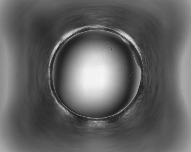 X0000087581335200704271258