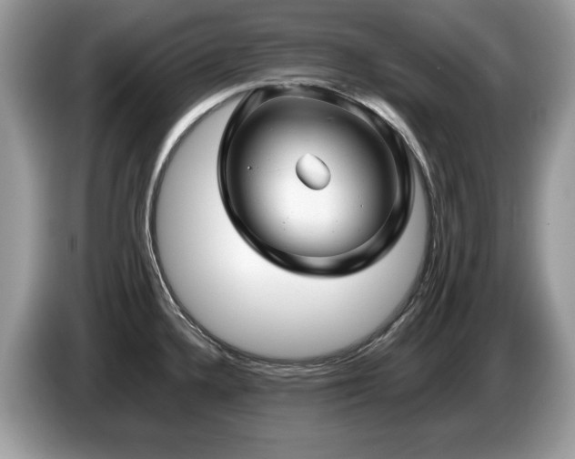 X0000087581336200704271258