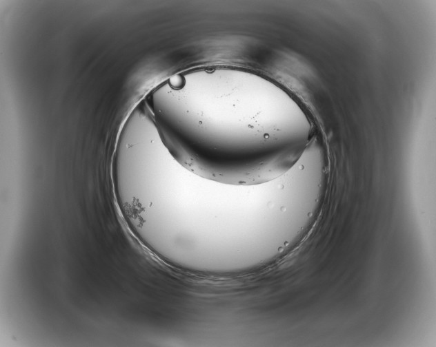 X0000087581338200704271258