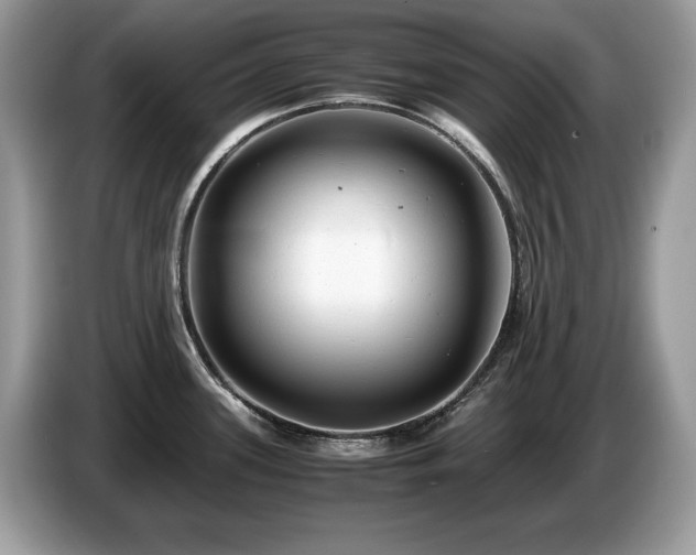 X0000087581339200704271258