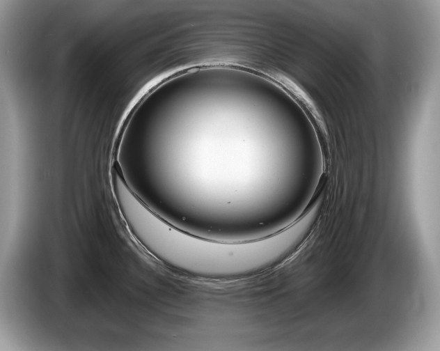 X0000087581340200704271258