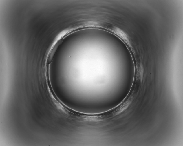 X0000087581342200704271258
