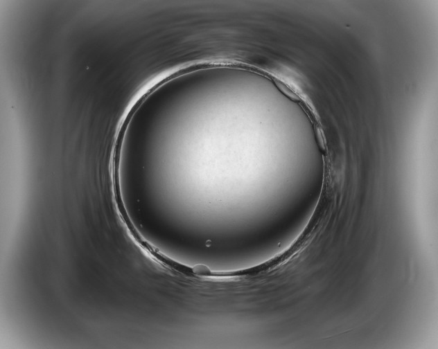 X0000087581343200704271258
