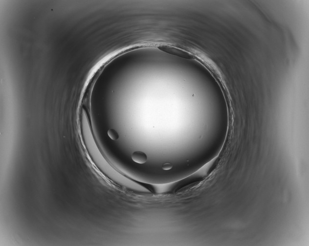 X0000087581344200704271258