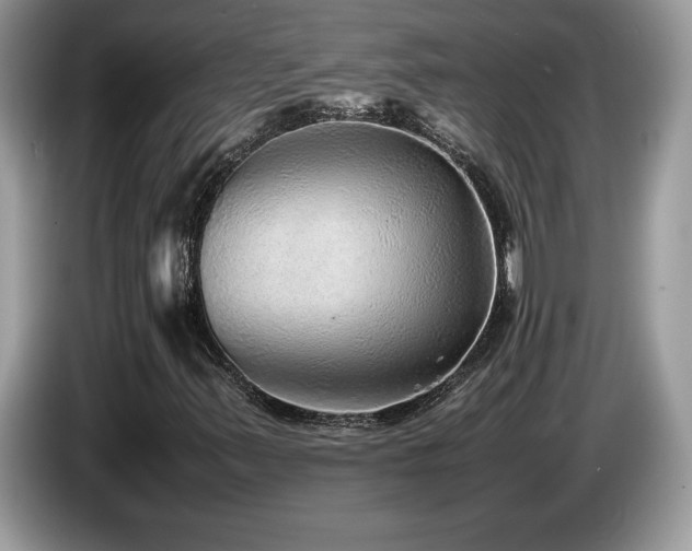 X0000087581347200704271258