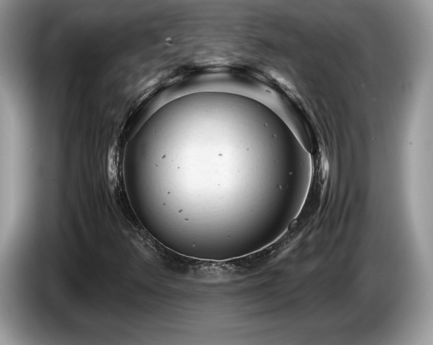 X0000087581348200704271258