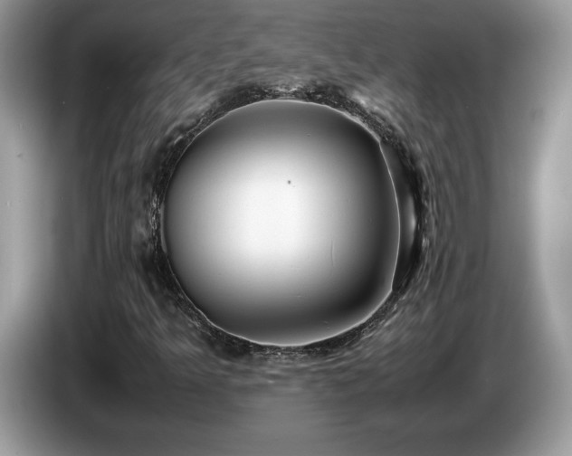 X0000087581349200704271258