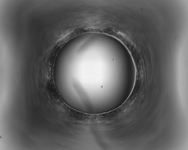 X0000087581350200704271258