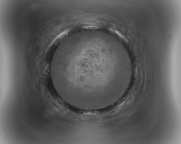 X0000087581351200704271258