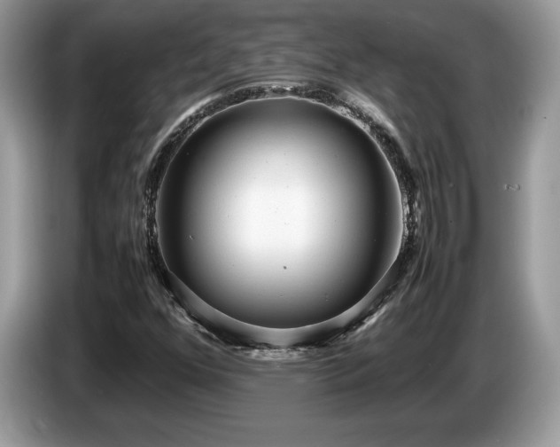 X0000087581352200704271258