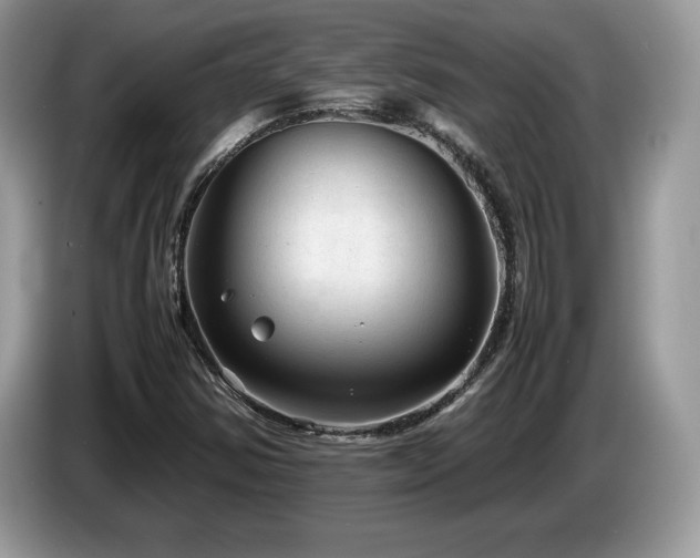 X0000087581354200704271258