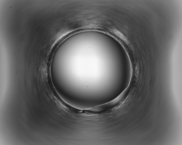 X0000087581356200704271258