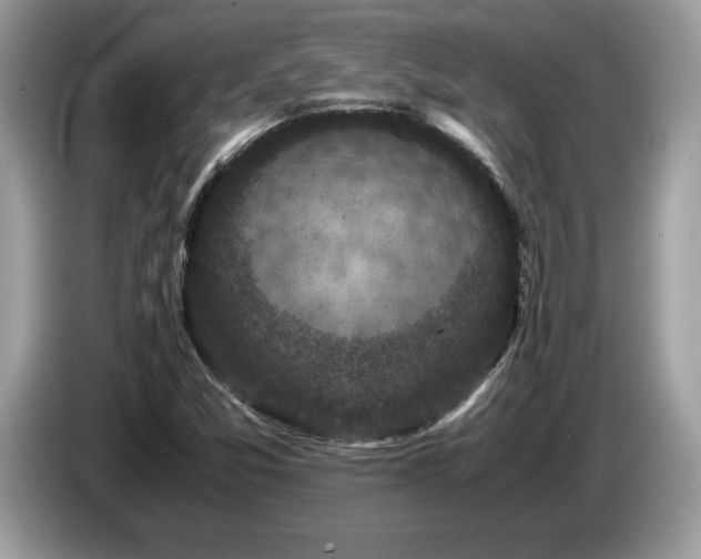 X0000087581357200704271258