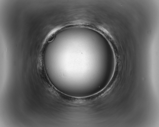 X0000087581358200704271258