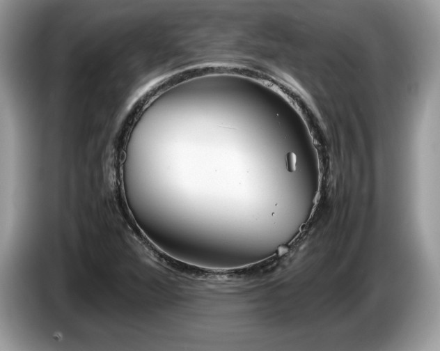X0000087581360200704271257