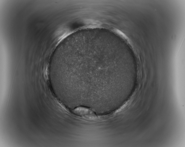 X0000087581361200704271257
