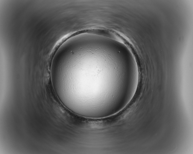 X0000087581363200704271257