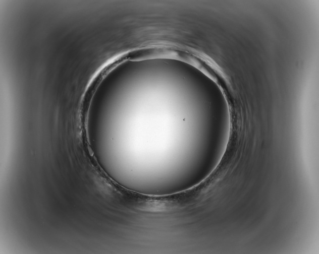 X0000087581364200704271257