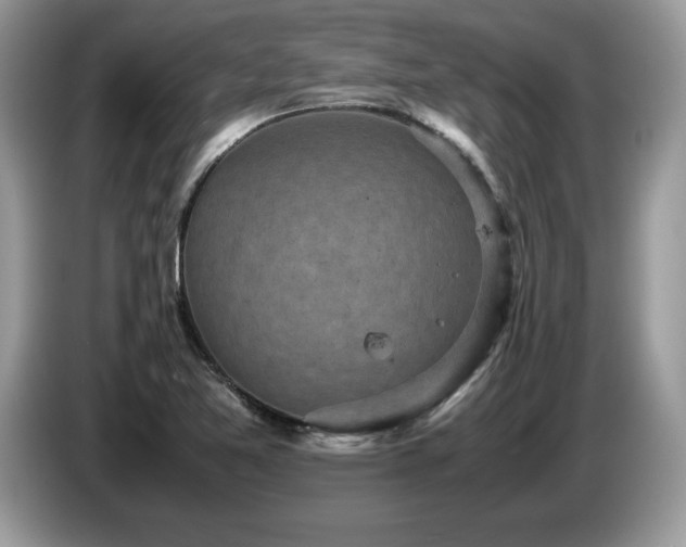 X0000087581365200704271257