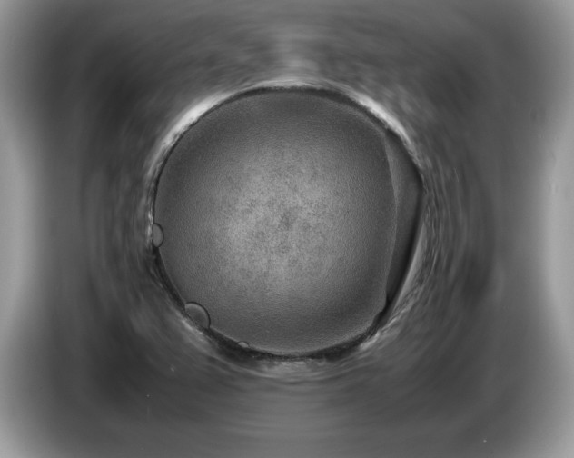 X0000087581367200704271257