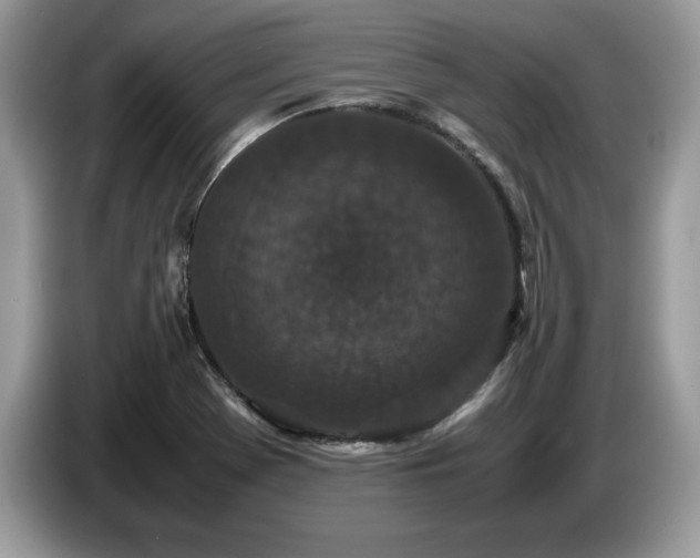 X0000087581369200704271257