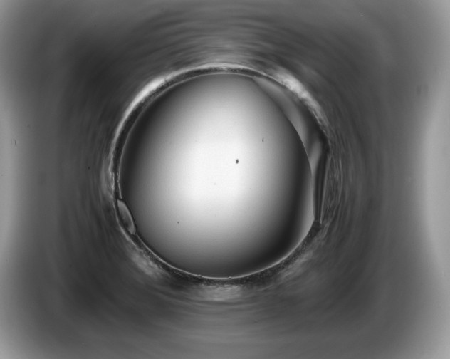 X0000087581372200704271257