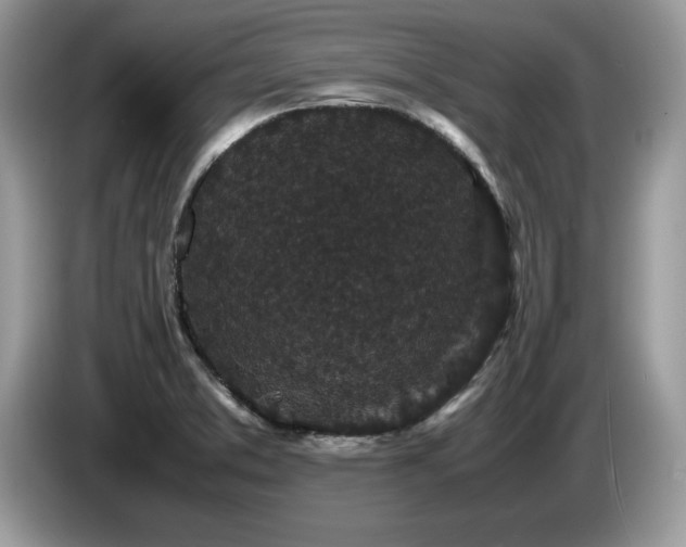 X0000087581373200704271257